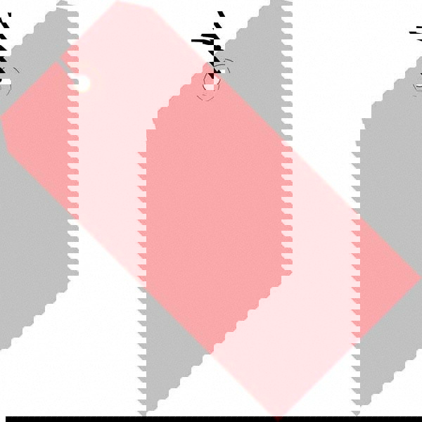 Blank Tag: 4-3/4'' High, Pink, Synthetic Paper